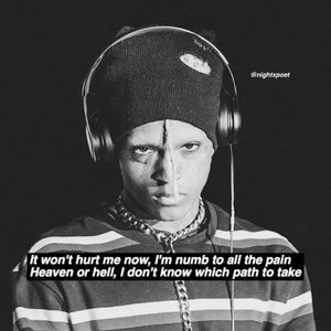 Meet your Posher, Bailey